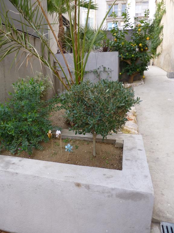 L'Orangeraie Et La Palmeraie D'Endoume Marselha Exterior foto