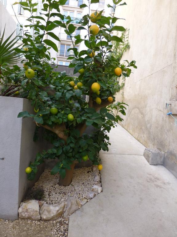 L'Orangeraie Et La Palmeraie D'Endoume Marselha Exterior foto