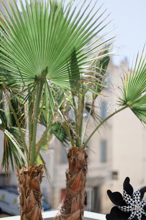 L'Orangeraie Et La Palmeraie D'Endoume Marselha Exterior foto